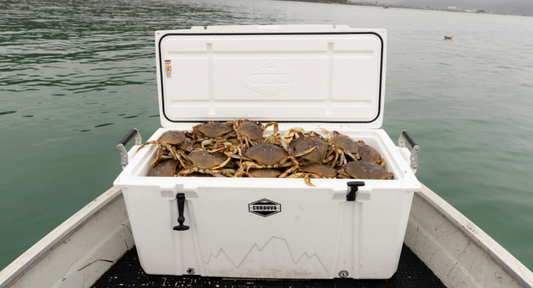 Cordova Coolers 48hr Flash Sale