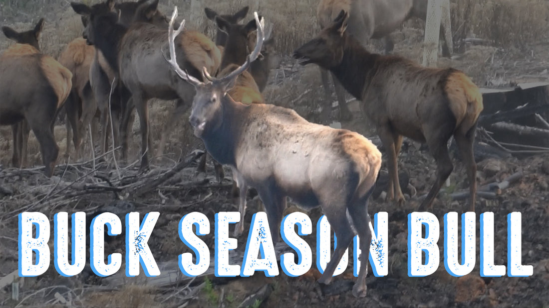 Buck Season Bull?! Becoming a Hunter Ep 17