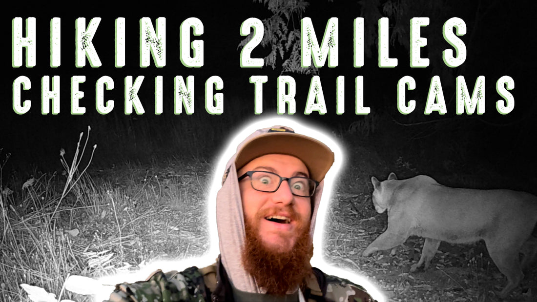 Hiking Two Miles & Checking Trail Cams