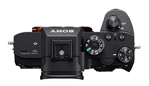 Sony Alpha 7R III Mirrorless Camera